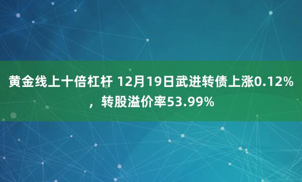 黄金线上十倍杠杆 12月19日武进转债上涨0.12%，转股溢价率53.99%