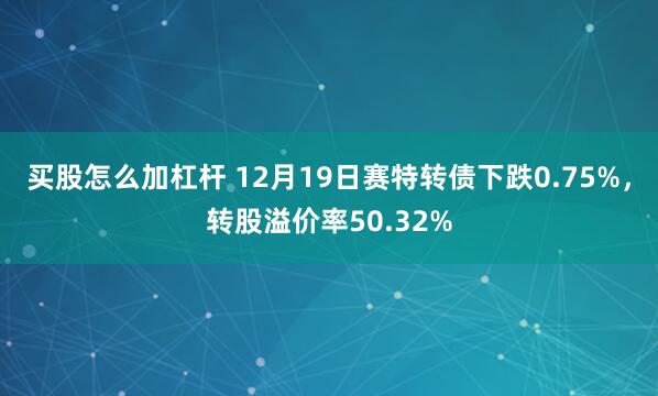 买股怎么加杠杆 12月19日赛特转债下跌0.75%，转股溢价率50.32%