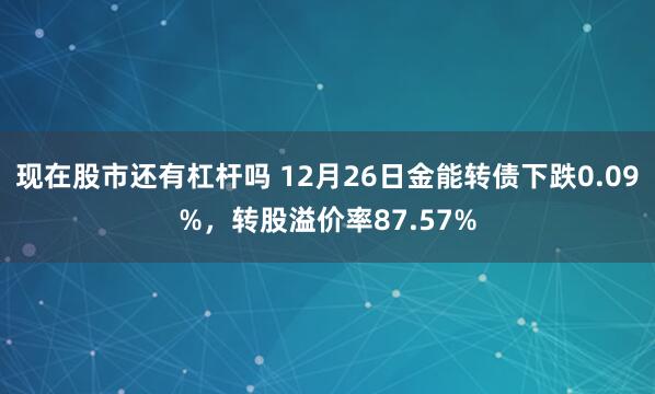 现在股市还有杠杆吗 12月26日金能转债下跌0.09%，转股溢价率87.57%