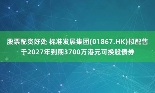 股票配资好处 标准发展集团(01867.HK)拟配售于2027年到期3700万港元可换股债券